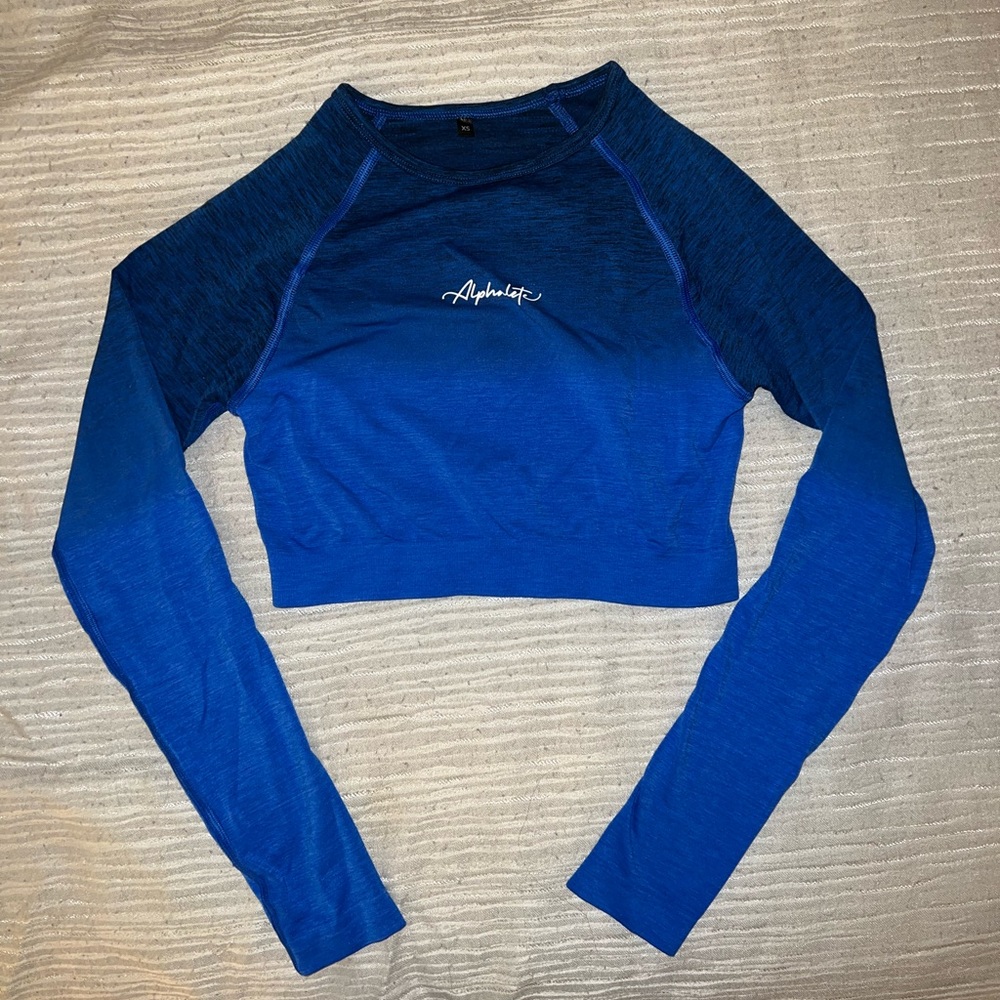 Alphalete Ombré Seamless Crop